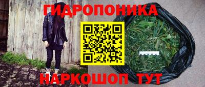 мдпв Лесосибирск