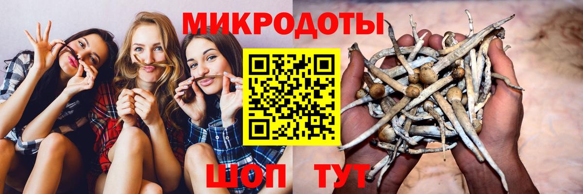 Псилоцибиновые грибы Psilocybine cubensis  Вход с VPN  Железногорск 