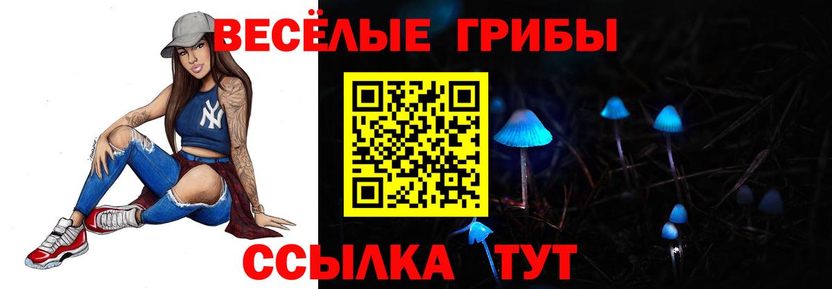 Псилоцибиновые грибы GOLDEN TEACHER Железногорск